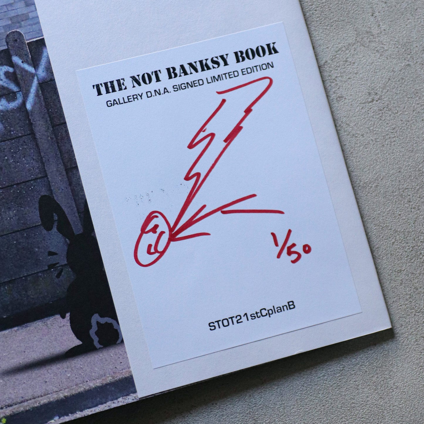 THE NOT BANKSY BOOK